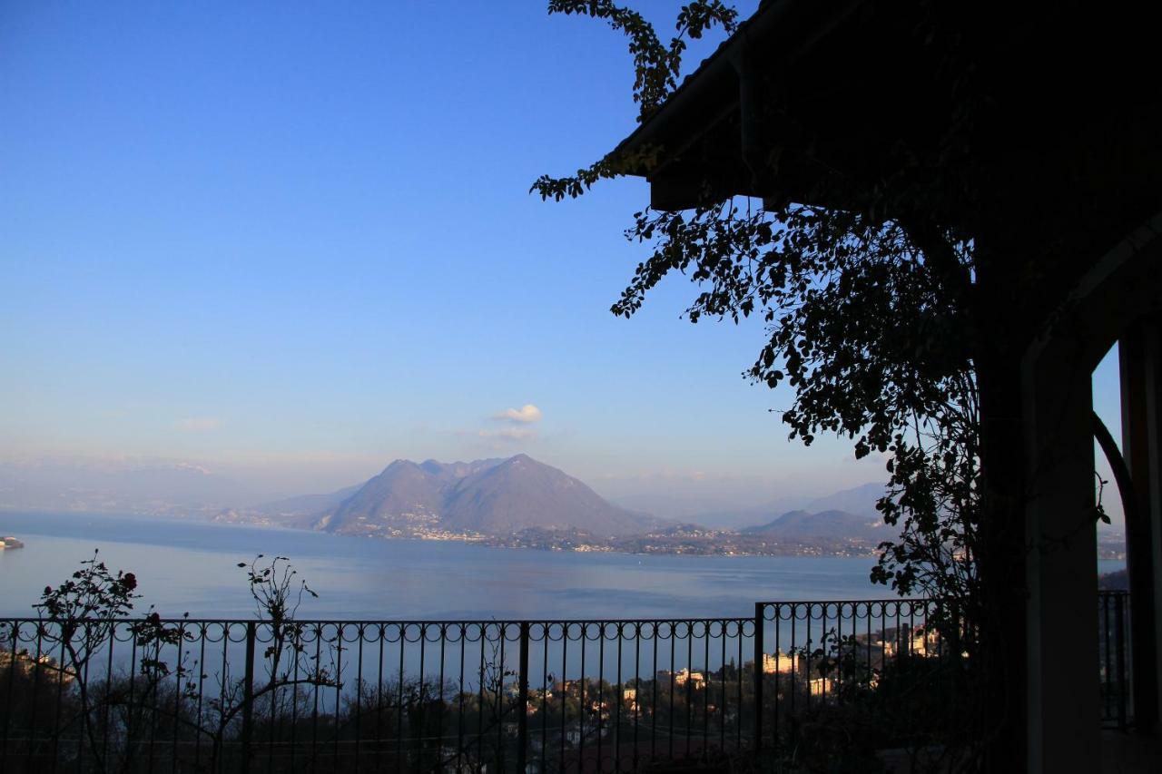 Homestay Alba Sul *